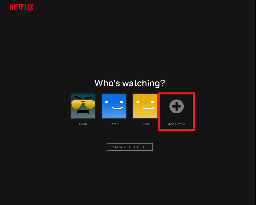 Netflix Who is Watching